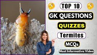 Test Your Knowledge On Termites With These 10  Quiz Questions | Helian GK Quiz