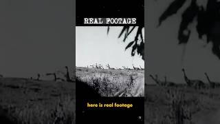 The story of the Great Emu War in Australia  #history #story #vintage #australia