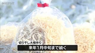 冬の風物詩 切り干し大根づくりが最盛期 愛知・刈谷市