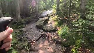 GoPro POV of the hike from Zealand Falls Hut to Zeacliff (10X speed)