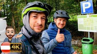 ‍️ E-Mountainbike Abenteuer auf dem Elsbeere-Singletrail in Österreich  2024