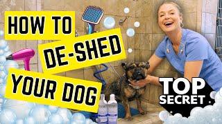 How to Properly De-shed your Dog's Coat?! | Vet Simply Explains!