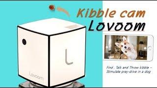 Kibble cam,Lovoom |  Fancy interactive pet camera