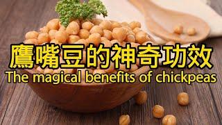 鷹嘴豆的功效與作用 The efficacy and function of chickpeas