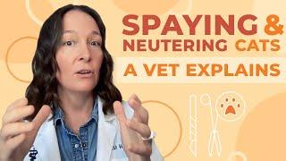 The Truth About Spaying and Neutering Cats: A Complete Guide