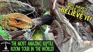 TOURING THE MOST AMAZING REPTILE ROOM IN THE WORLD!