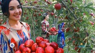 TAJIKISTAN IS A PARADISE OF THE SWEETEST FRUITS EVER IN THE WORLD/YOU GOT TO SEE THIS