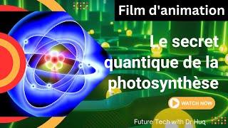 La surprenante science quantique derrière la photosynthèse