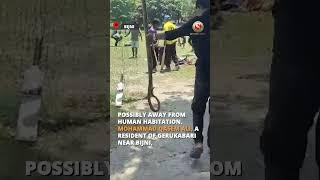 Bijni Youth Catches Poisonous Snakes With Bare Hands