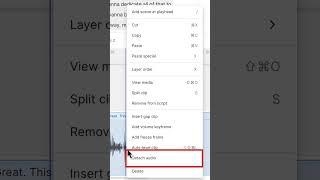 SEPARATE audio from video in Descript Tip 002 #descript #tutorial #descriptstoryboard