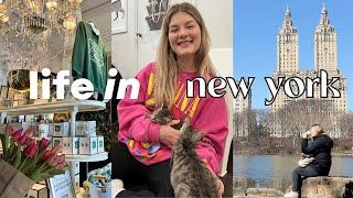 LIFE IN NYC | Spring has sprung , cat cafe, Ralph's coffee, Home Goods