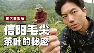 本末测评 伟大的村庄：没有大师的茶哪怕顶级也卖不上价！