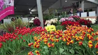 INTERNATIONAL FLOWER SHOW  MELBOURNE 2018
