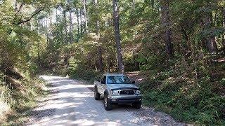 Red Root Road  in the Chattahoochee National Forest