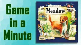 Game in a Minute: Meadow