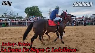 La Dama De Negro (Cuadra Ladrilleros) VS La Caperucita (Cuadra Elio) VS EL Prieto Azabache  150yds