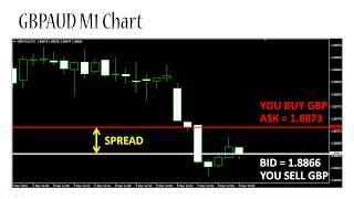 What is a Forex Spread - ForexBoat Trading Academy