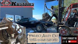 1981 Trans Am Turbo - Project Alley Cat - Lets start fitting the 5.3 LS