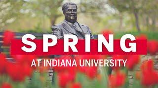 Springtime at Indiana University Bloomington