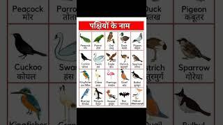 20 पक्षियों के नाम हिंदी और इंग्लिश में | 50 Birds Name in Hindi and English #पक्षियों #birdsname