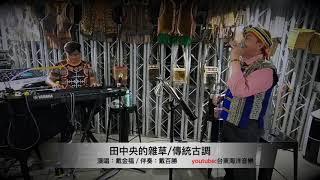 戴金福-原住民傳統歌謠連串曲(二)