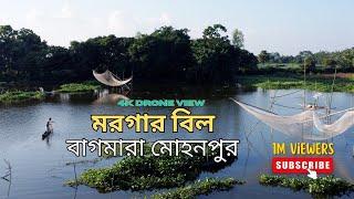 মরগার বিল বাগমারা মোহনপুর | গ্রামবাংলার প্রাকৃতিক সৌন্দর্য ও জীবনযাত্রা | ড্রোন ভিডিও