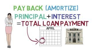 Loans 101 (Loan Basics 1/3)