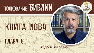 Книга Иова. Глава 8. Страдания. Андрей Солодков. Библия. Ветхий Завет.