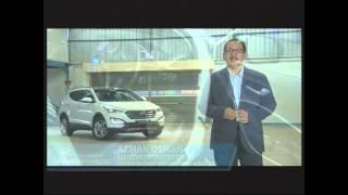 Hyundai Santa Fe Blind Parking Test (Eagles Eye View)