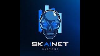 The Skynet System in conjunction with MetaTrader 5 (MT5)