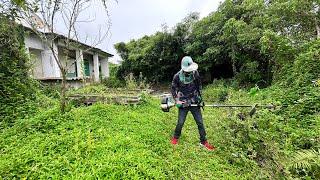 NOBODY We cleaning the ABANDONED house cut the grass cut the overgrown plants TRANSFORM the garden