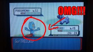 Top 5 BEST Shiny Pokemon Fails Compliation! [Part 2]