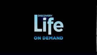 Discovery Life On Demand #2