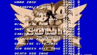 the sonic 2 beta song.wmv