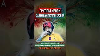 ГРУППЫ КРОВИ. Что это такое?