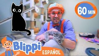 Blippi visita un Refugio de Animales | Aprende con blippi | Videos educativos para niños
