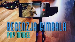 Najtańszy gimbal na rynku do telefonu PNY mobee