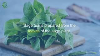 7 Incredible Benefits of Sage Tea | Organic Facts