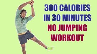 NO JUMPING WORKOUT: Beginner Weight Loss Workout No Equipment300 Calories in 30 Minutes