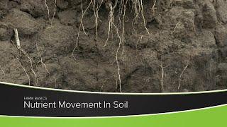 Nutrient Movement In Soil