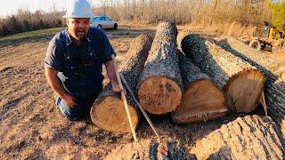 Scaling and grading logs…Tie logs vs Grade logs! #090