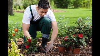 Gartenbau - Garten-arbeiter in der Schweiz auf bieter.ch