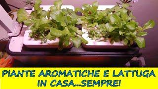 Clizia Smart Garden! First seedlings of: lettuce, rocket, basil and parsley in just 15 DAYS!