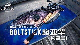 【FishingShare】测试CAST DIVISION BOLTSTICK路亚竿钓多曼！KLAU的个人钓鱼之旅！Testing CAST DIVISION BOLTSTICK for TOMAN!