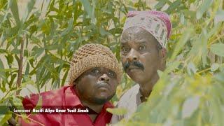 ‘Bishiya Garkuwar Muhalli’   Bosho/Daushe/Naburaka/HadizaKabara/Asase/ Dorayi Films/ ACReSAL JIGAWA