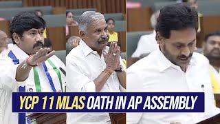 YSRCP 11 MLAs Oath In AP Assembly | AP Assembly Session 2024 | YS Jagan & 10 Others