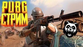 Веселый пабжик - игра PlayerUnknown’s Battlegrounds