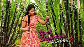 I mixed Black Sugarcane syrup with already yummy desserts and made them more yummy | Traditional Me