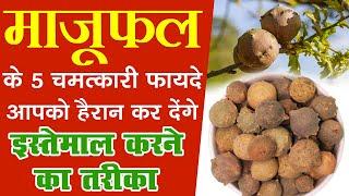 माजूफल के हकीमी फायदे / Majuphal Amazing Benefits / Quercus Infectoria Uses In Hikmat / Unani Nuskhe