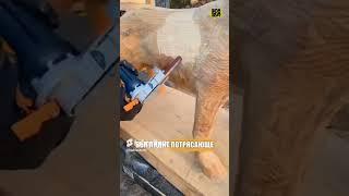   Создает из дерева копии умерших питомцев! // - «Хорошие новости»
